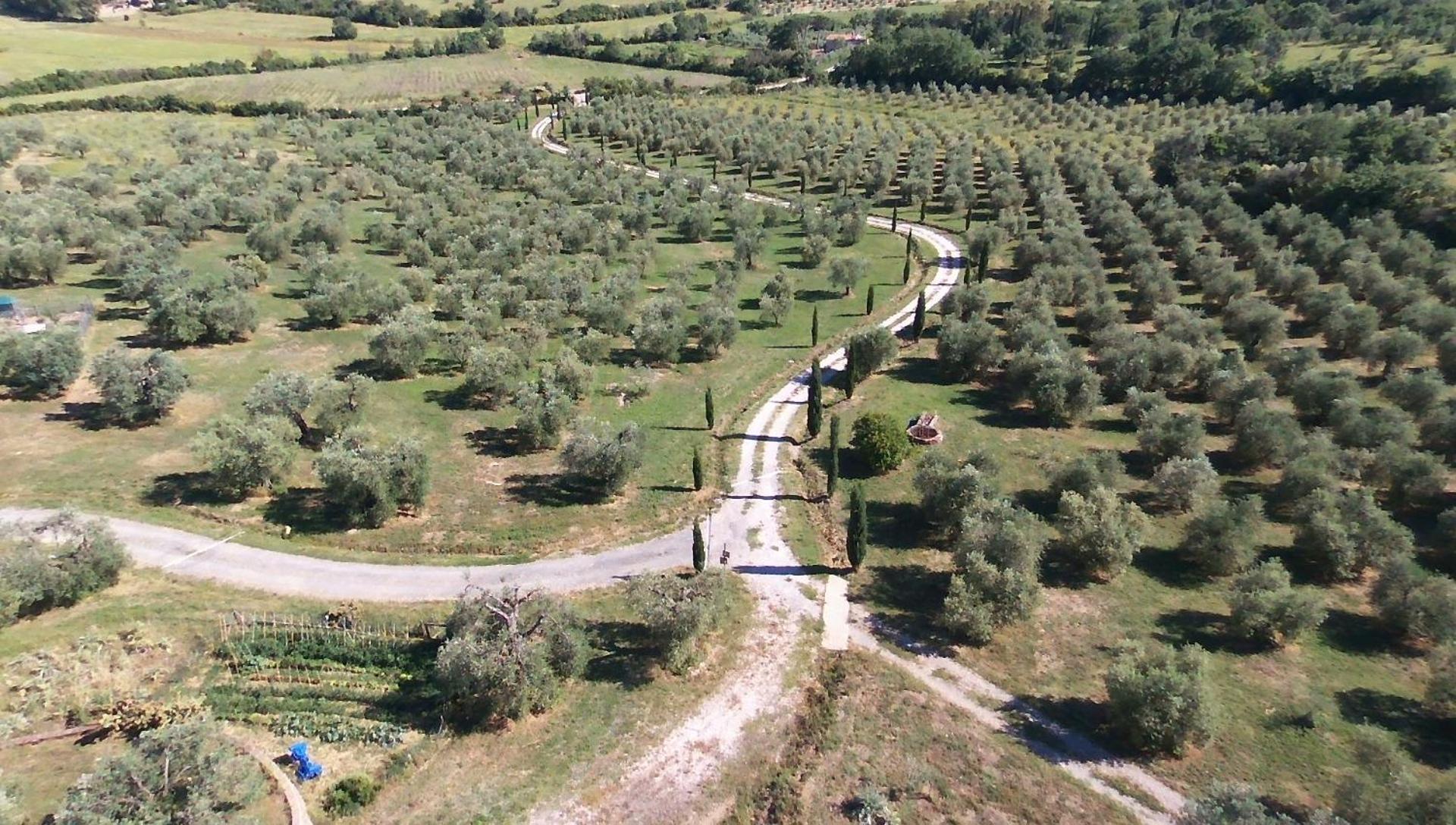Casetta Dell'Uliveto Macchiascandona Bagian luar foto