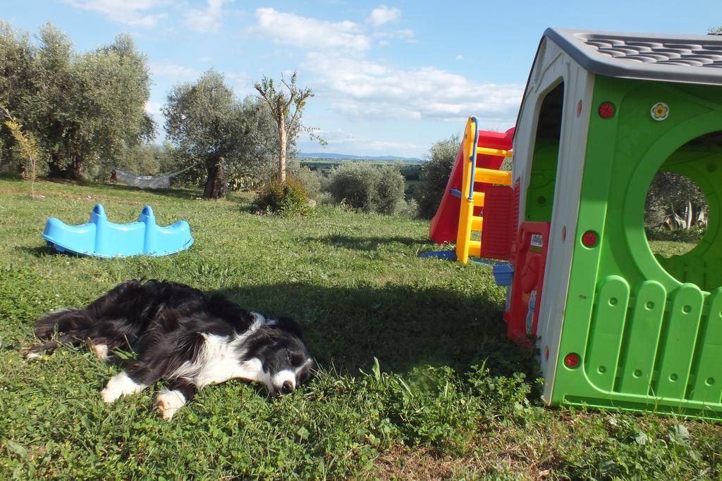 Casetta Dell'Uliveto Macchiascandona Bagian luar foto