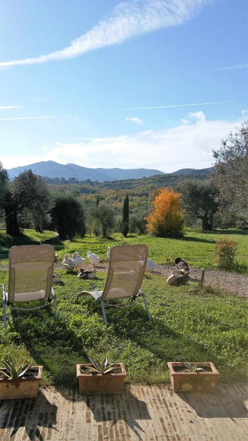 Casetta Dell'Uliveto Macchiascandona Bagian luar foto